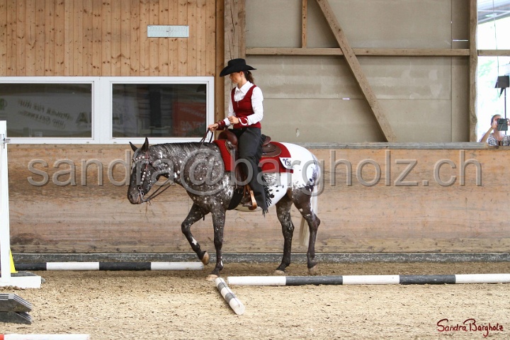 28-ApHC OT_275.jpg